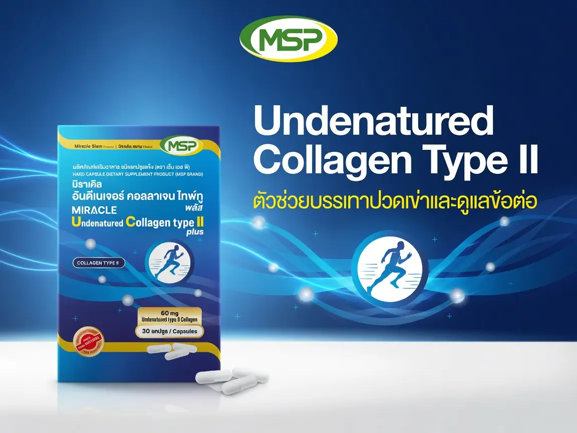 Undenatured Collagen Type II ตัวช่วยบรรเทาปวดเข่าและดูแลข้อต่อจากภายใน